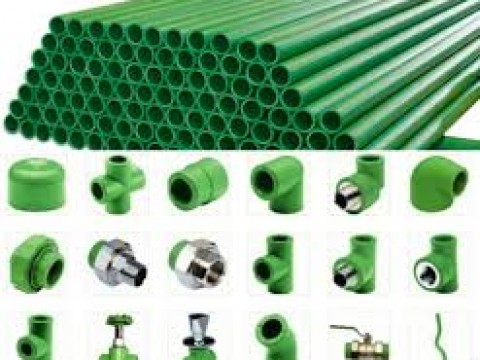 Co xanh 20 Dismy-5.000đ